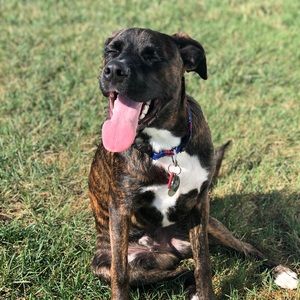 Meet your Posher, Victoria